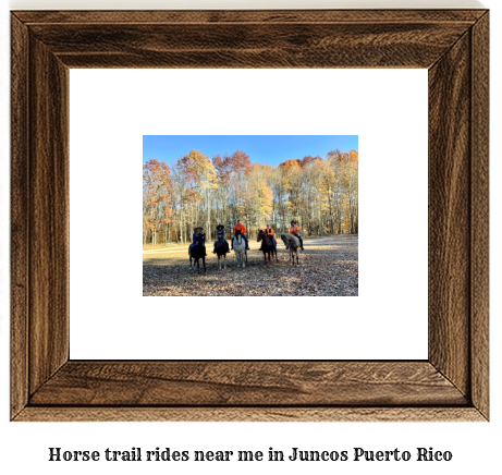 horse trail rides near me in Juncos, Puerto Rico